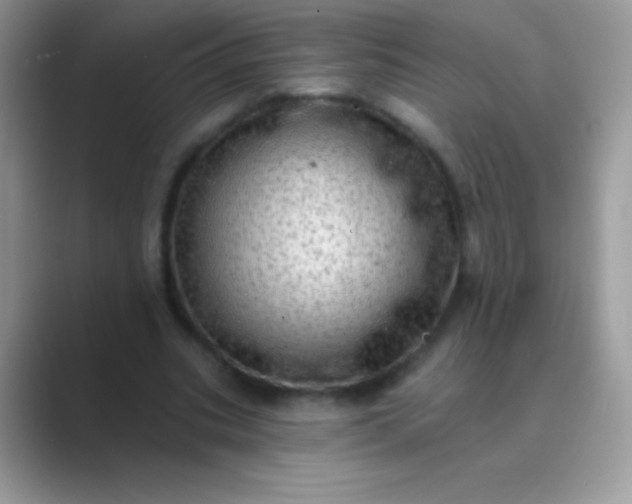 X0000089760535200707051835