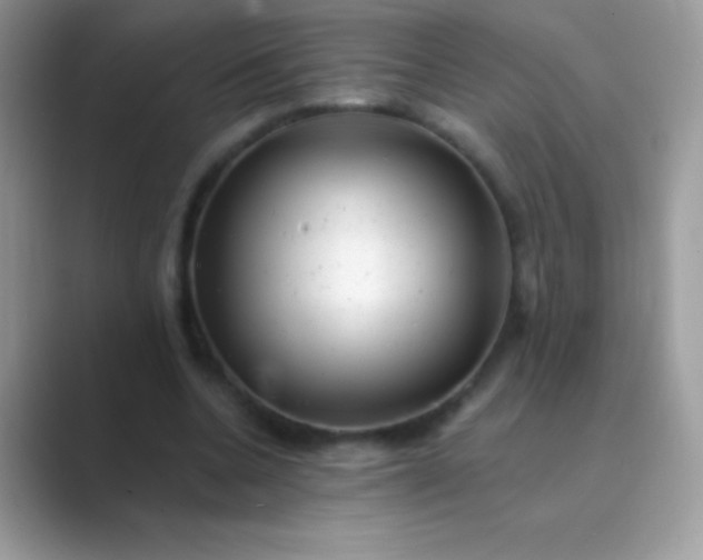 X0000089760536200707051835