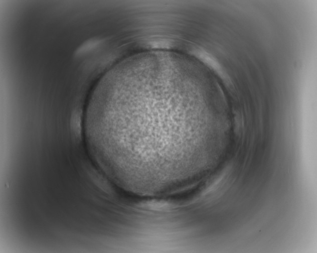 X0000089760537200707051835