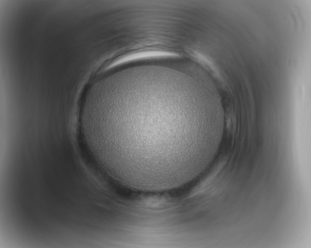 X0000089760540200707051835