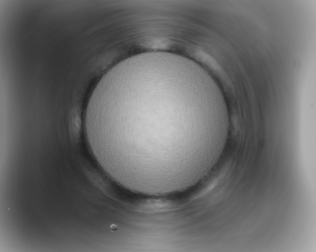 X0000089760541200707051835