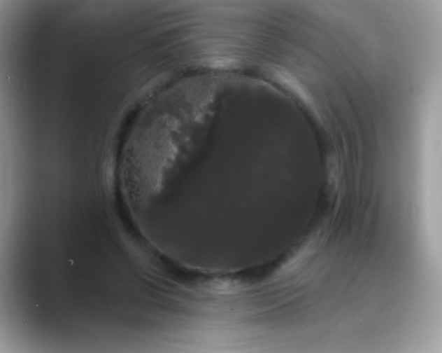 X0000089760542200707051835