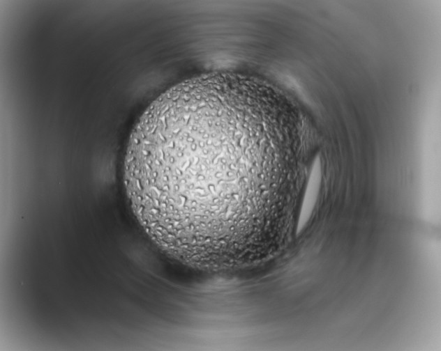 X0000089760543200707051835