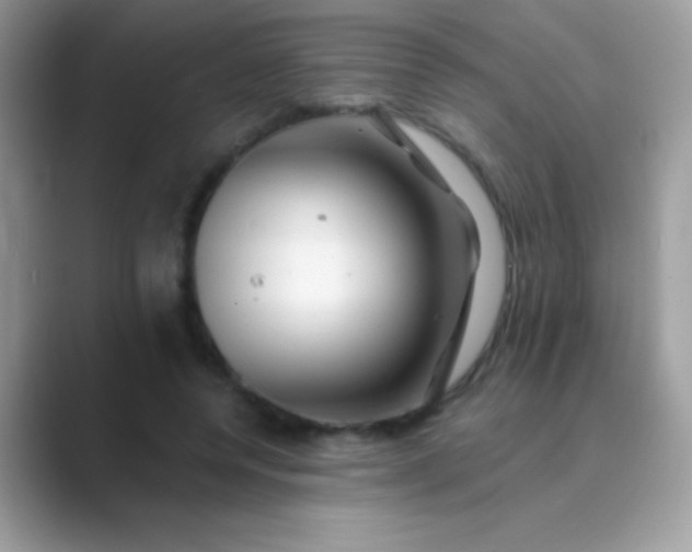 X0000089760544200707051835