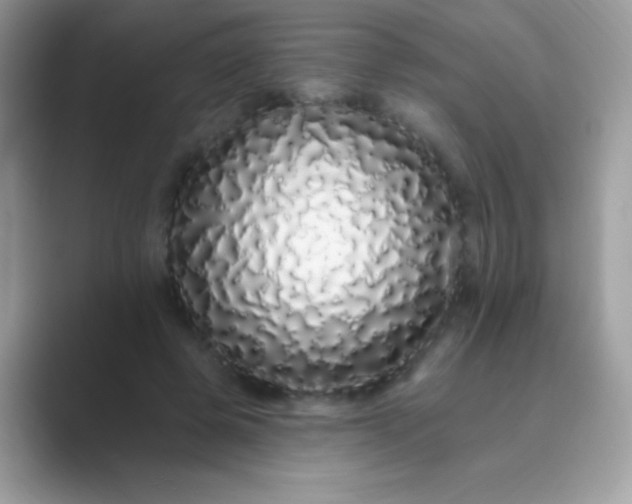 X0000089760545200707051835