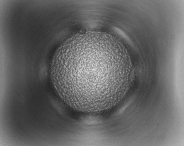 X0000089760546200707051835