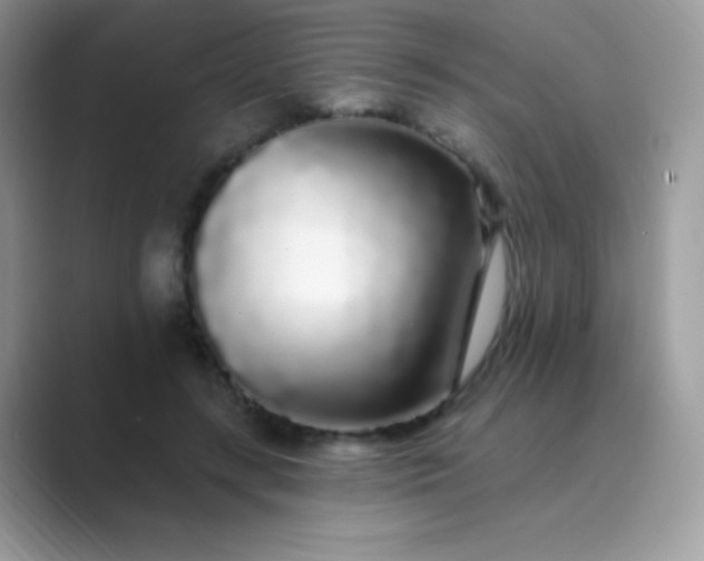 X0000089760547200707051835