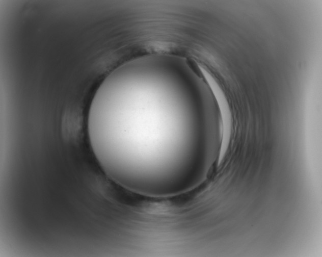 X0000089760548200707051835