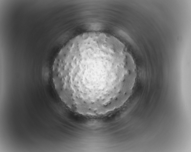 X0000089760549200707051835