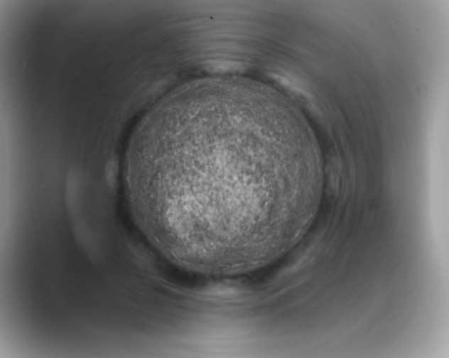 X0000089760550200707051835