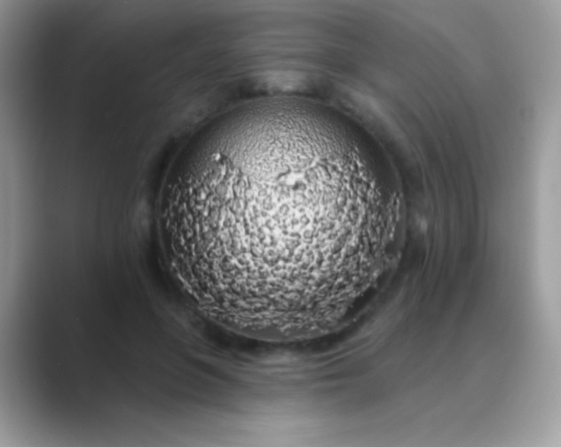 X0000089760551200707051835