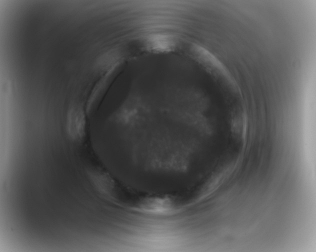 X0000089760552200707051835