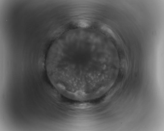 X0000089760553200707051835