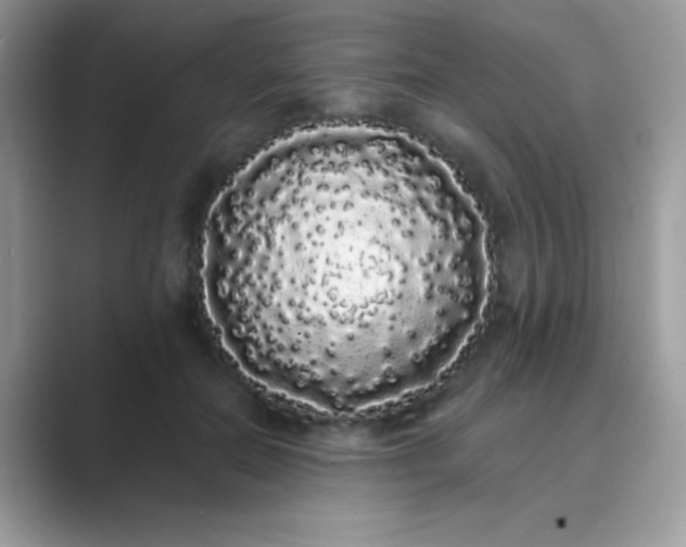 X0000089760554200707051835