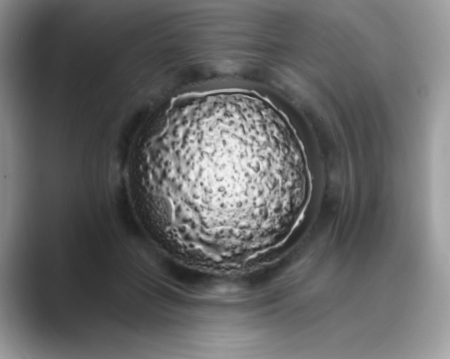 X0000089760555200707051835