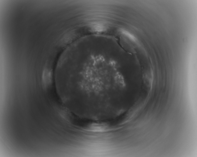 X0000089760556200707051835