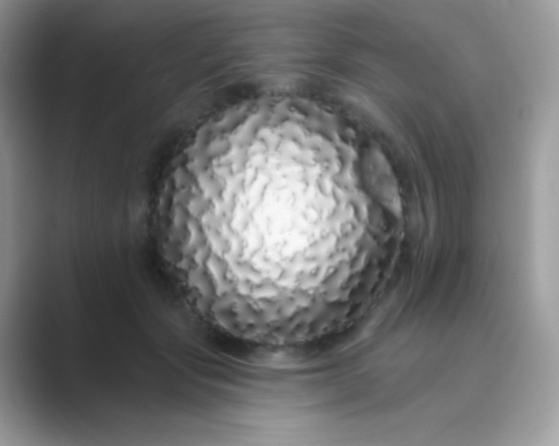 X0000089760557200707051835