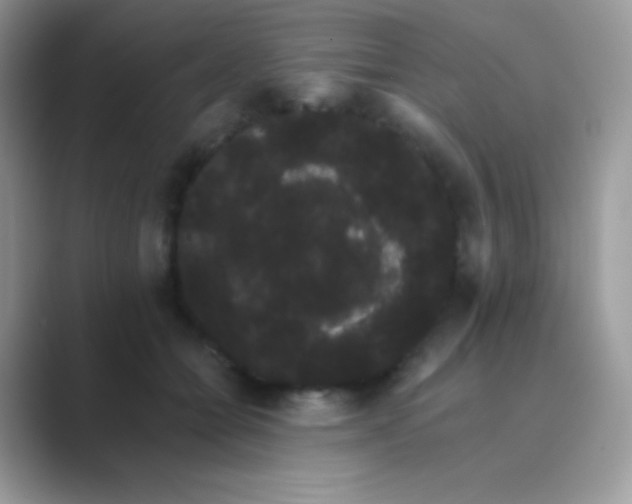 X0000089760558200707051835