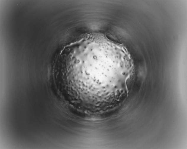 X0000089760559200707051835