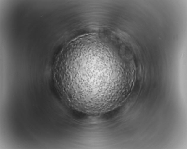 X0000089760560200707051835