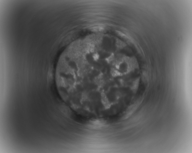 X0000089760561200707051835