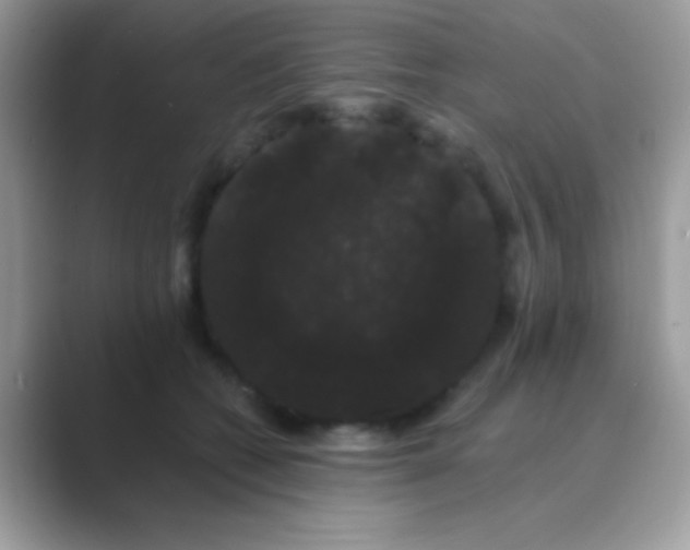 X0000089760562200707051835