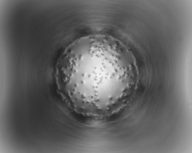 X0000089760563200707051835