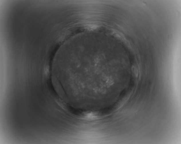 X0000089760564200707051835