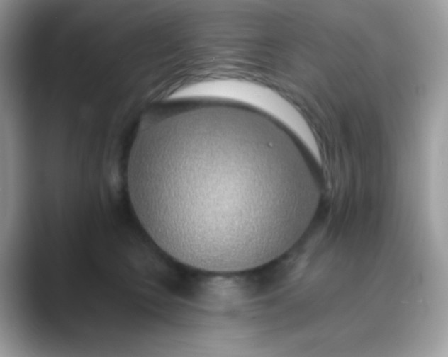 X0000089760566200707051835