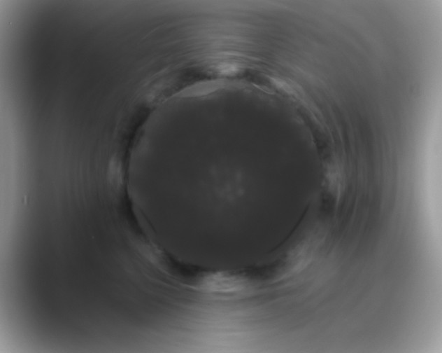 X0000089760568200707051835