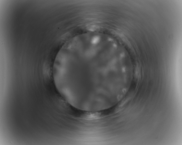 X0000089760569200707051835