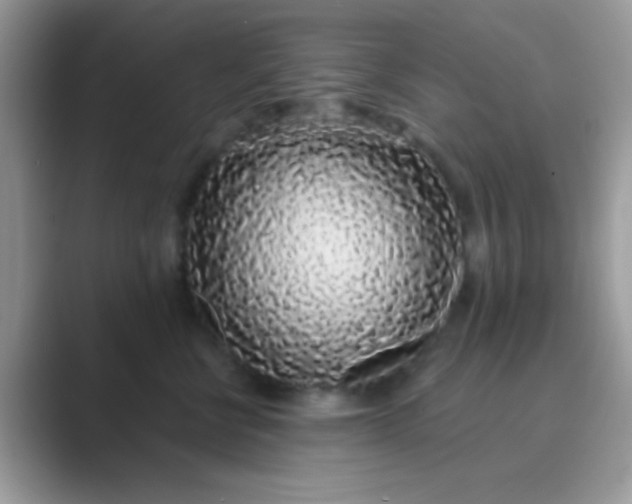 X0000089760570200707051835