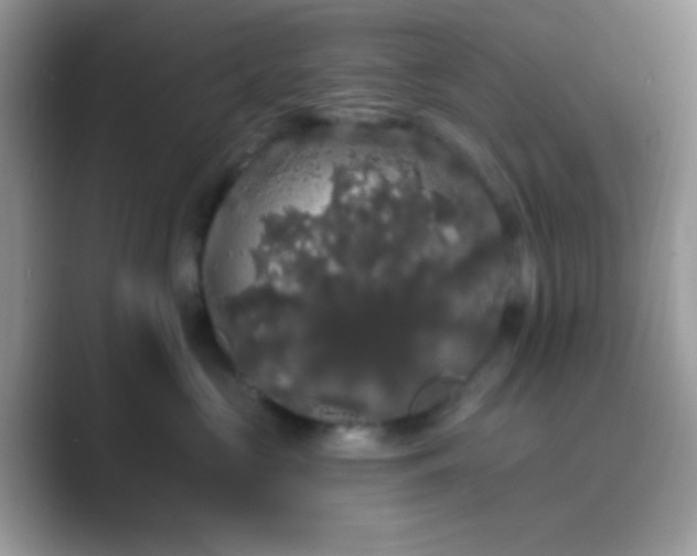 X0000089760573200707051835