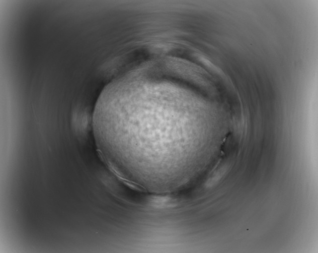 X0000089760574200707051835