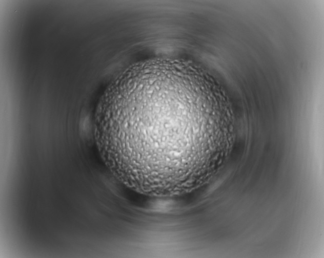 X0000089760575200707051835