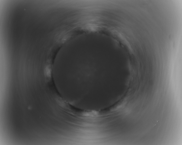 X0000089760576200707051835