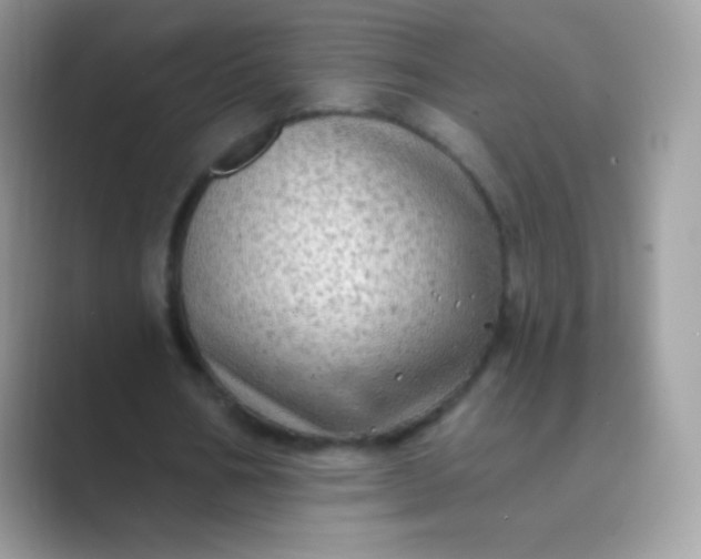 X0000089760578200707051835