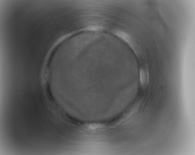 X0000089760579200707051835