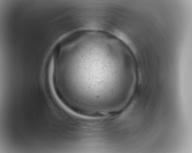 X0000089760580200707051835