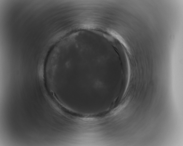 X0000089760581200707051835