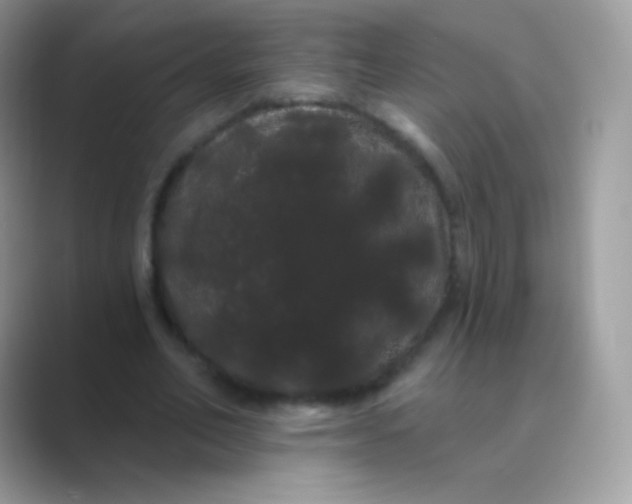 X0000089760582200707051835