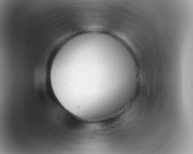 X0000089760583200707051835