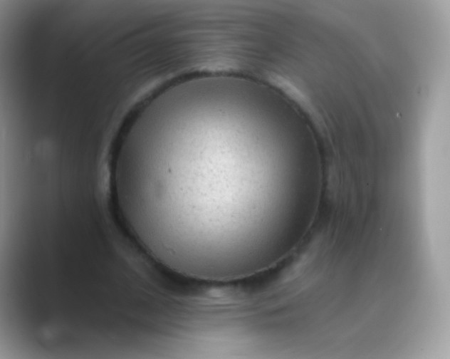 X0000089760584200707051835