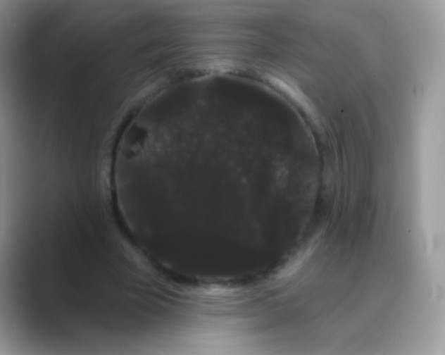 X0000089760585200707051835