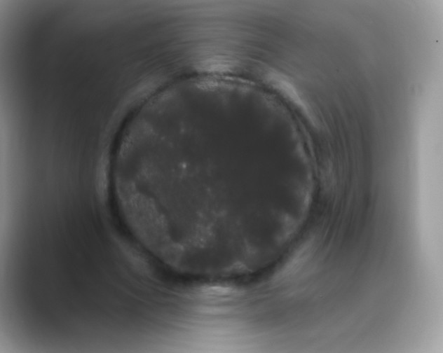 X0000089760586200707051835