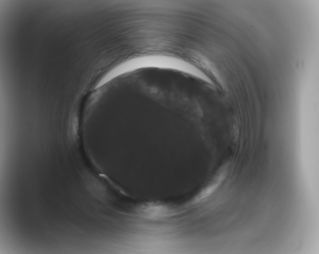 X0000089760589200707051835