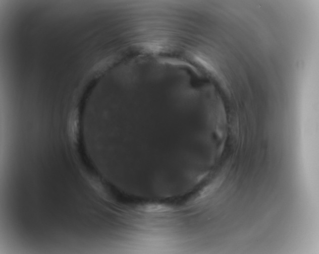 X0000089760590200707051835