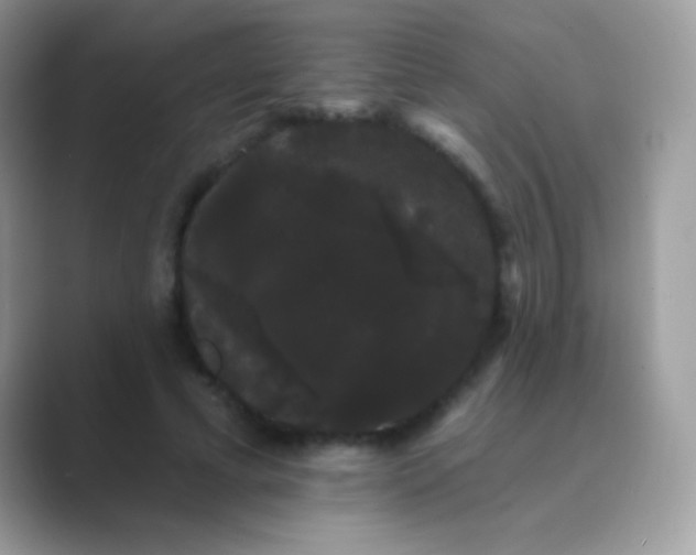 X0000089760593200707051834