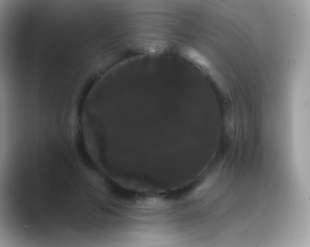 X0000089760594200707051834