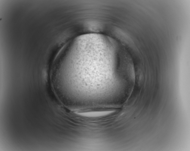 X0000089760595200707051834